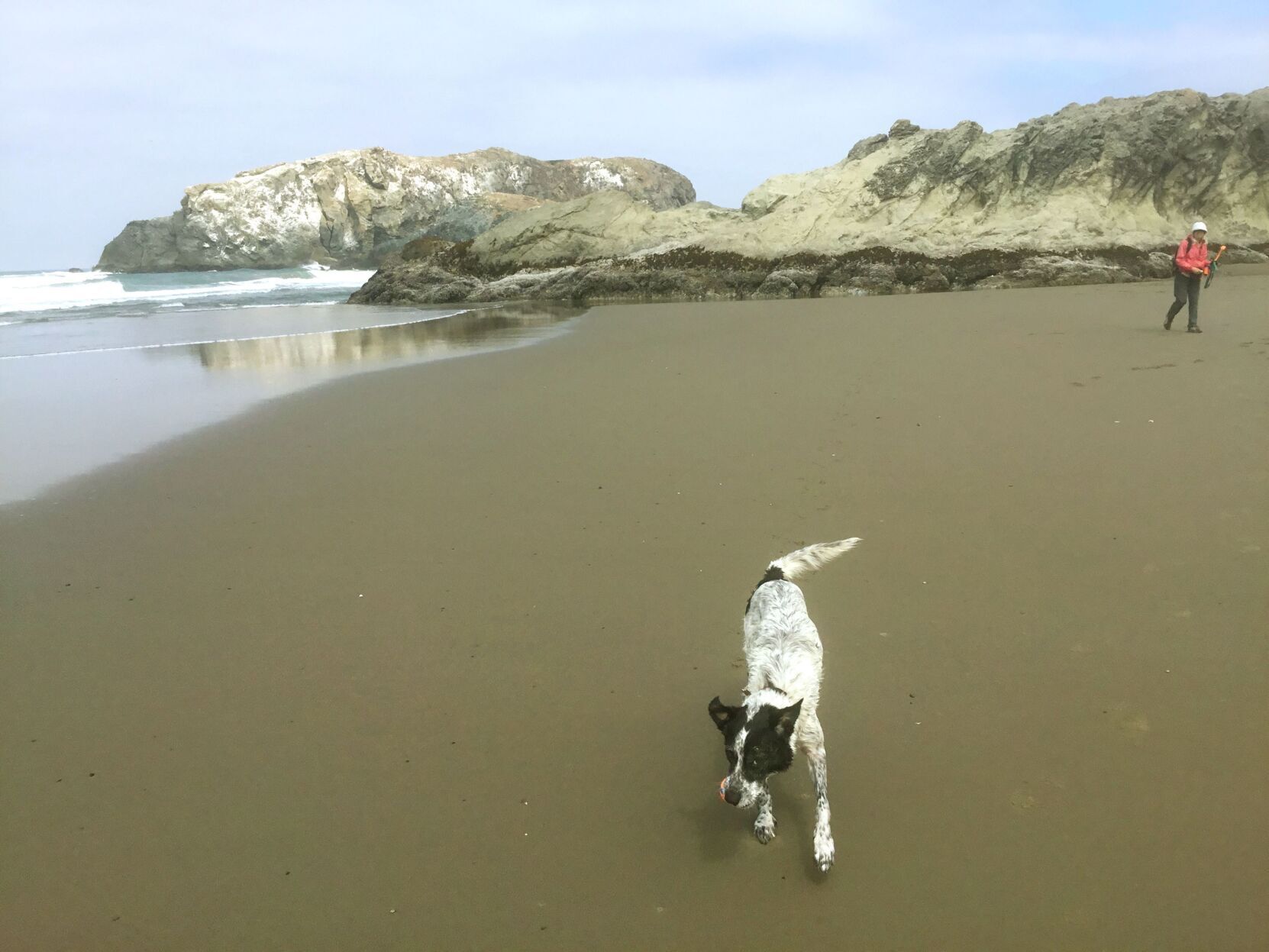 Fetch